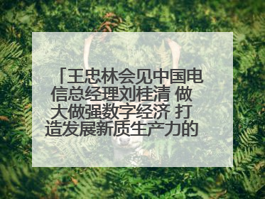 王忠林会见中国电信总经理刘桂清 做大做强数字经济 打造发展新质生产力的强劲引擎