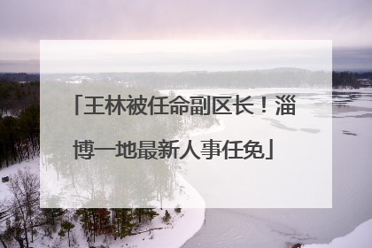 王林被任命副区长！淄博一地最新人事任免