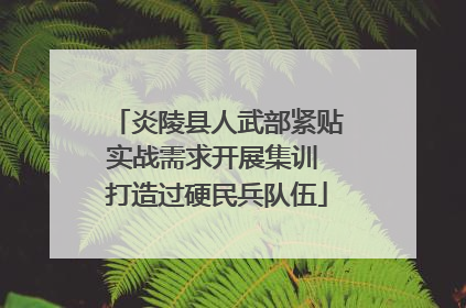 炎陵县人武部紧贴实战需求开展集训 打造过硬民兵队伍