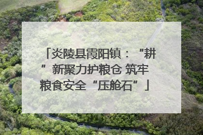 炎陵县霞阳镇：“耕”新聚力护粮仓 筑牢粮食安全“压舱石”