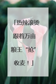 热辣滚烫 跟着万亩粮王“抢”收麦！