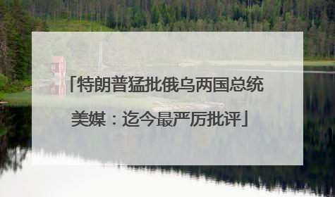 特朗普猛批俄乌两国总统 美媒：迄今最严厉批评
