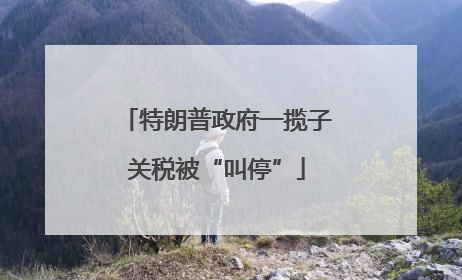 特朗普政府一揽子关税被“叫停”