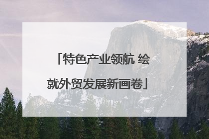 特色产业领航 绘就外贸发展新画卷