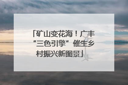 矿山变花海！广丰“三色引擎”催生乡村振兴新图景