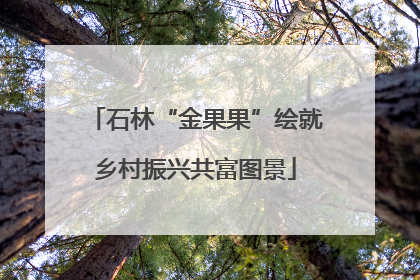 石林“金果果”绘就乡村振兴共富图景
