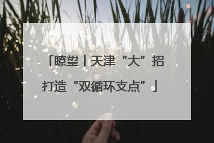 瞭望丨天津“大”招打造“双循环支点”