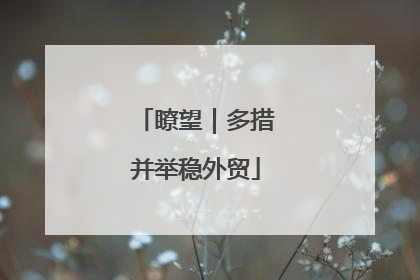 瞭望｜多措并举稳外贸