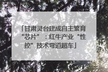 甘肃灵台建成自主繁育“芯片”：红牛产业“性控”技术弯道超车