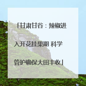 甘肃甘谷：辣椒进入开花挂果期 科学管护确保大田丰收