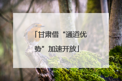 甘肃借“通道优势”加速开放