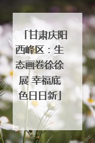 甘肃庆阳西峰区：生态画卷徐徐展 幸福底色日日新