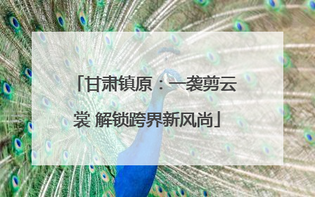 甘肃镇原：一袭剪云裳 解锁跨界新风尚