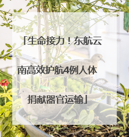 生命接力！东航云南高效护航4例人体捐献器官运输