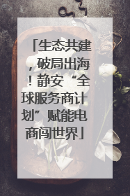 生态共建，破局出海！静安“全球服务商计划”赋能电商闯世界