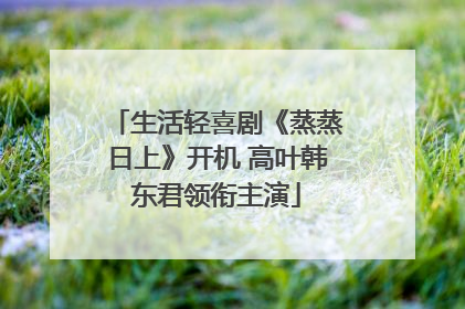 生活轻喜剧《蒸蒸日上》开机 高叶韩东君领衔主演