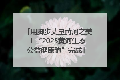 用脚步丈量黄河之美！“2025黄河生态公益健康跑”完成