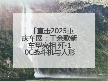 直击2025重庆车展：千余款新车型亮相 歼-10C战斗机与人形机器人引关注