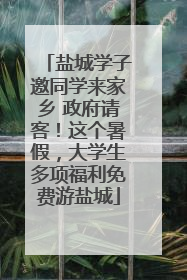 盐城学子邀同学来家乡 政府请客！这个暑假，大学生多项福利免费游盐城