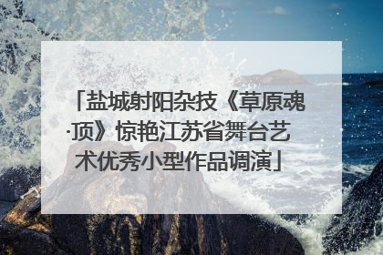 盐城射阳杂技《草原魂·顶》惊艳江苏省舞台艺术优秀小型作品调演