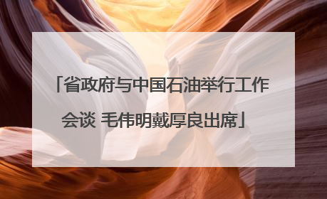 省政府与中国石油举行工作会谈 毛伟明戴厚良出席