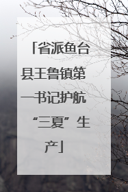 省派鱼台县王鲁镇第一书记护航“三夏”生产