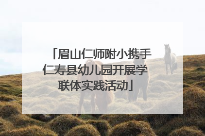 眉山仁师附小携手仁寿县幼儿园开展学联体实践活动