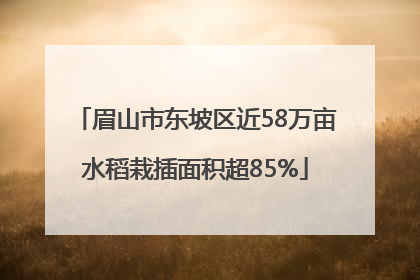 眉山市东坡区近58万亩水稻栽插面积超85%