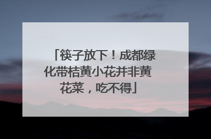 筷子放下！成都绿化带桔黄小花并非黄花菜，吃不得