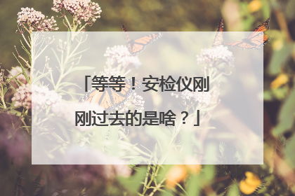 等等！安检仪刚刚过去的是啥？