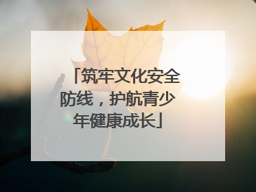 筑牢文化安全防线，护航青少年健康成长