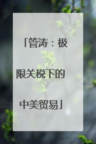 管涛：极限关税下的中美贸易