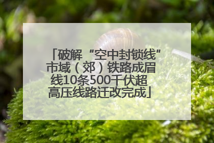 破解“空中封锁线” 市域（郊）铁路成眉线10条500千伏超高压线路迁改完成
