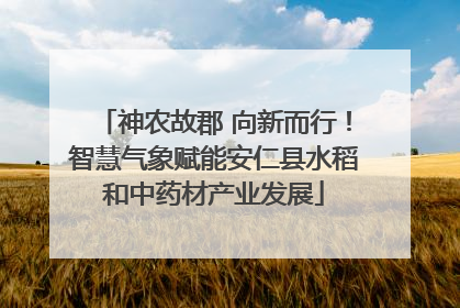 神农故郡 向新而行！智慧气象赋能安仁县水稻和中药材产业发展