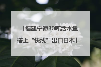 福建宁德30吨活水鱼搭上“快线”出口日本