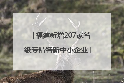 福建新增207家省级专精特新中小企业