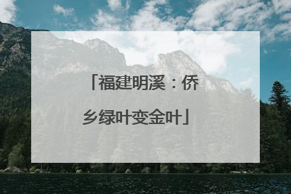 福建明溪：侨乡绿叶变金叶