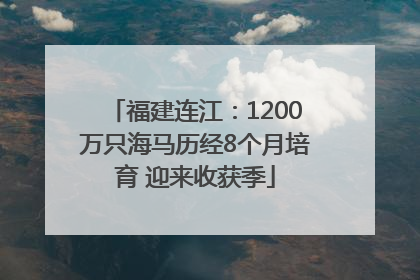 福建连江：1200万只海马历经8个月培育 迎来收获季