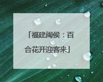 福建闽侯：百合花开迎客来