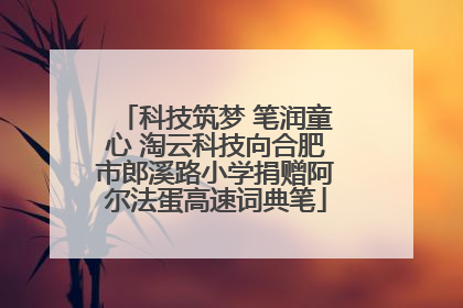 科技筑梦 笔润童心 淘云科技向合肥市郎溪路小学捐赠阿尔法蛋高速词典笔