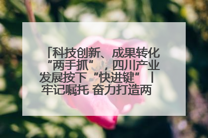 科技创新、成果转化“两手抓”，四川产业发展按下“快进键”丨牢记嘱托 奋力打造两高地两基地一屏障