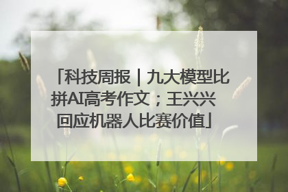 科技周报｜九大模型比拼AI高考作文；王兴兴回应机器人比赛价值