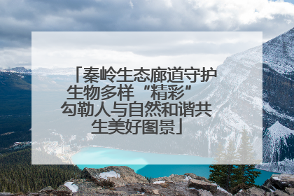 秦岭生态廊道守护生物多样“精彩” 勾勒人与自然和谐共生美好图景