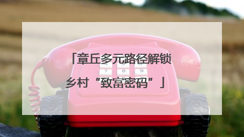 章丘多元路径解锁乡村“致富密码”
