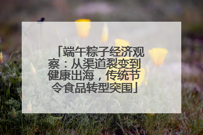 端午粽子经济观察：从渠道裂变到健康出海，传统节令食品转型突围