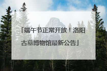 端午节正常开放！洛阳古墓博物馆最新公告