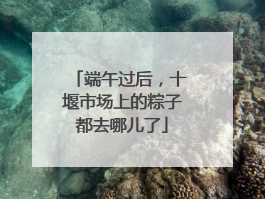 端午过后，十堰市场上的粽子都去哪儿了