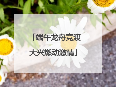 端午龙舟竞渡 大兴燃动激情