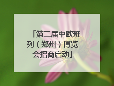 第二届中欧班列（郑州）博览会招商启动