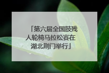 第六届全国肢残人轮椅马拉松赛在湖北荆门举行